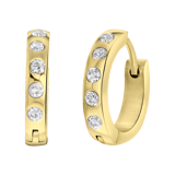 Stainless steel goldplated oorringen met geboortesteen voor dames