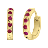 Stainless steel goldplated oorringen met geboortesteen voor dames