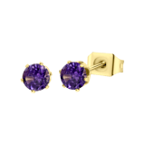 Stainless steel goldplated oorknoppen met geboortesteen voor dames