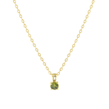 Stainless steel goldplated ketting met hanger geboortesteen voor dames