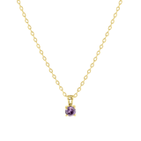 Stainless steel goldplated ketting met hanger geboortesteen voor dames