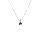 Stainless steel ketting&hanger geboortesteen