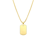 Stainless steel goldplated herenketting met hanger