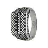 Stainless steel heren zegelring reptiel antique finish