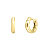 Zilveren goldplated oorringen voor dames