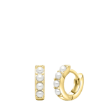 Zilveren goldplated oorringen voor dames