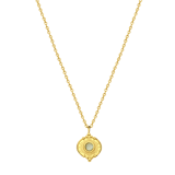 Stainless steel goldplated ketting met munt met cats eye voor dames