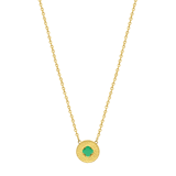 Stainless steel goldplated ketting met hanger voor dames