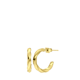 Stainless steel goldplated oorringen voor dames