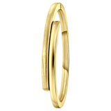 Zilveren goldplated bangle voor dames