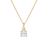 Silberne, goldplattierte Halskette & Anhänger mit Zirkonia