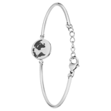 Stainless steel armband met wereldbol