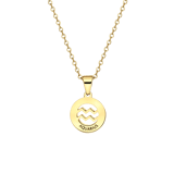 Stainless steel goldplated ketting met hanger sterrenbeeld Watermanvoor dames