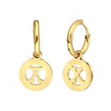 Stainless steel goldplated oorbellen met letter - X