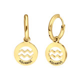 Stainless steel goldplated oorringen sterrenbeeld Waterman voor dames