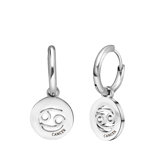 Stainless steel oorbellen met sterrenbeeld kreeft