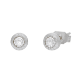 Stainless steel oorknoppen met zirkonia