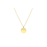 Stainless steel goldplated ketting met hanger graveerplaat voor dames