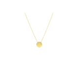 Stainless steel goldplated ketting met hanger munt voor dames