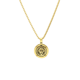 Stainless steel goldplated herenketting met hanger munt