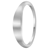 Silberner Ring rhodiniert