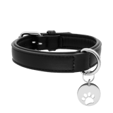 Hundehalsband aus Leder mit Anhänger aus Edelstahl