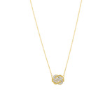 Stainless steel goldplated ketting met hanger met kristal voor dames
