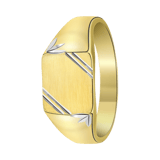 Zilveren goldplated herenzegelring