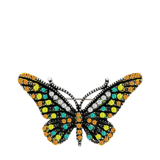 Bijoux broche vlinder voor dames
