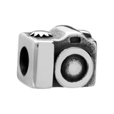 Stainless steel bedel camera