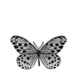 Silberne Modeschmuck-Brosche, Schmetterling