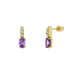 Stainless steel goldplated oorknoppen met zirkonia voor dames