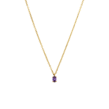 Stainless steel goldplated ketting met hanger met zirkonia voor dames
