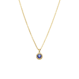 Stainless steel goldplated ketting met hanger met zirkonia voor dames