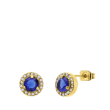 Stainless steel goldplated oorknoppe met zirkonia voor dames