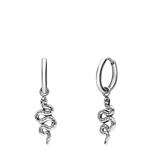 Stainless steel oorringen met slangen