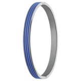 Stainless steel bangle met blauwe strepen
