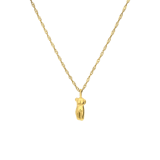 Stainless steel goldplated ketting met hanger vrouwenlichaam voor dames