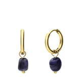Stainless steel goldplated oorringen met lapis lazuli voor dames