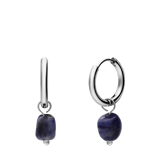 Stainless steel oorringen met lapis lazuli voor dames