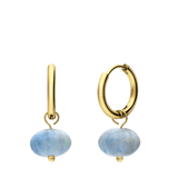 Stainless steel goldplated oorringen pompoen voor dames