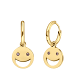 Stainless steel goldplated oorringen met zirkonia voor dames