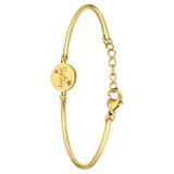 Stainless steel goldplated fantasiearmband  met hanger met zirkonia voor dames