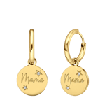Stainless steel goldplated oorringen met zirkonia voor dames