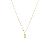 Stainless steel goldplated ketting met hanger met zirkonia voor dames
