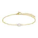 Stainless steel goldplated armband met zirkonia