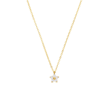 Stainless steel goldplated ketting met hanger bloem met zirkonia voor dames