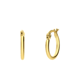 Stainless steel goldplated oorringen voor dames