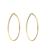 Stainless steel goldplated oorringen voor dames