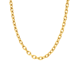Stainless steel goldplated ketting voor dames